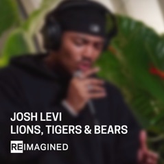 Lions, Tigers & Bears (Reimagined) - Single