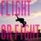 Flight or Fight (feat. Disastronaut) - DJ Carbon Footprint lyrics