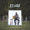 Clemente Schaerer - Celosa