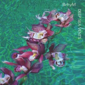 BrhyM - (My) Theory of Everything