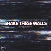 Shake These Walls artwork