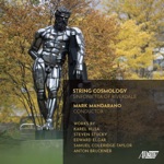 Sinfonietta of Riverdale & Mark Mandarano - Divertimento for String Orchestra: II. Aria: Moderato molto