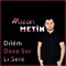 Dılem Daxa Sor Lı Sere artwork