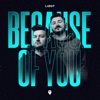 Because Of You - Single