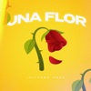 Una Flor by Julianno Sosa iTunes Track 1