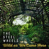 The Steel Wheels - Ghost of Myself