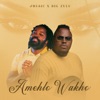 Amehlo Wakho - Single