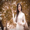 อายู ปูจิ เลสทารี - ฮัก(ຮັກ)