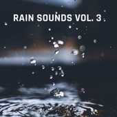 Rain Sounds Vol, 3 artwork