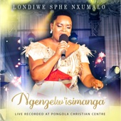 Ngenzelwisimanga (Live) artwork