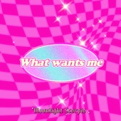 What Wants Me - Single