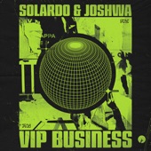 VIP Business artwork