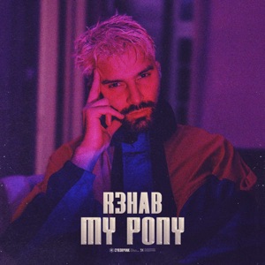 R3HAB - My Pony - Line Dance Music