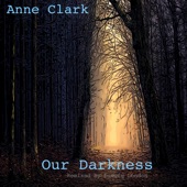 Our Darkness (Remix) artwork