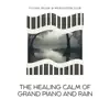 The Healing Calm of Grand Piano and Rain album lyrics, reviews, download