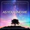 As You Find Me - Single