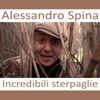 Incredibili Sterpaglie - Single