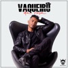 Vaqueiro da Roça - Single