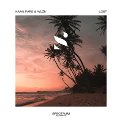 Lost - Single by Kaan Pars & WLZN album reviews, ratings, credits