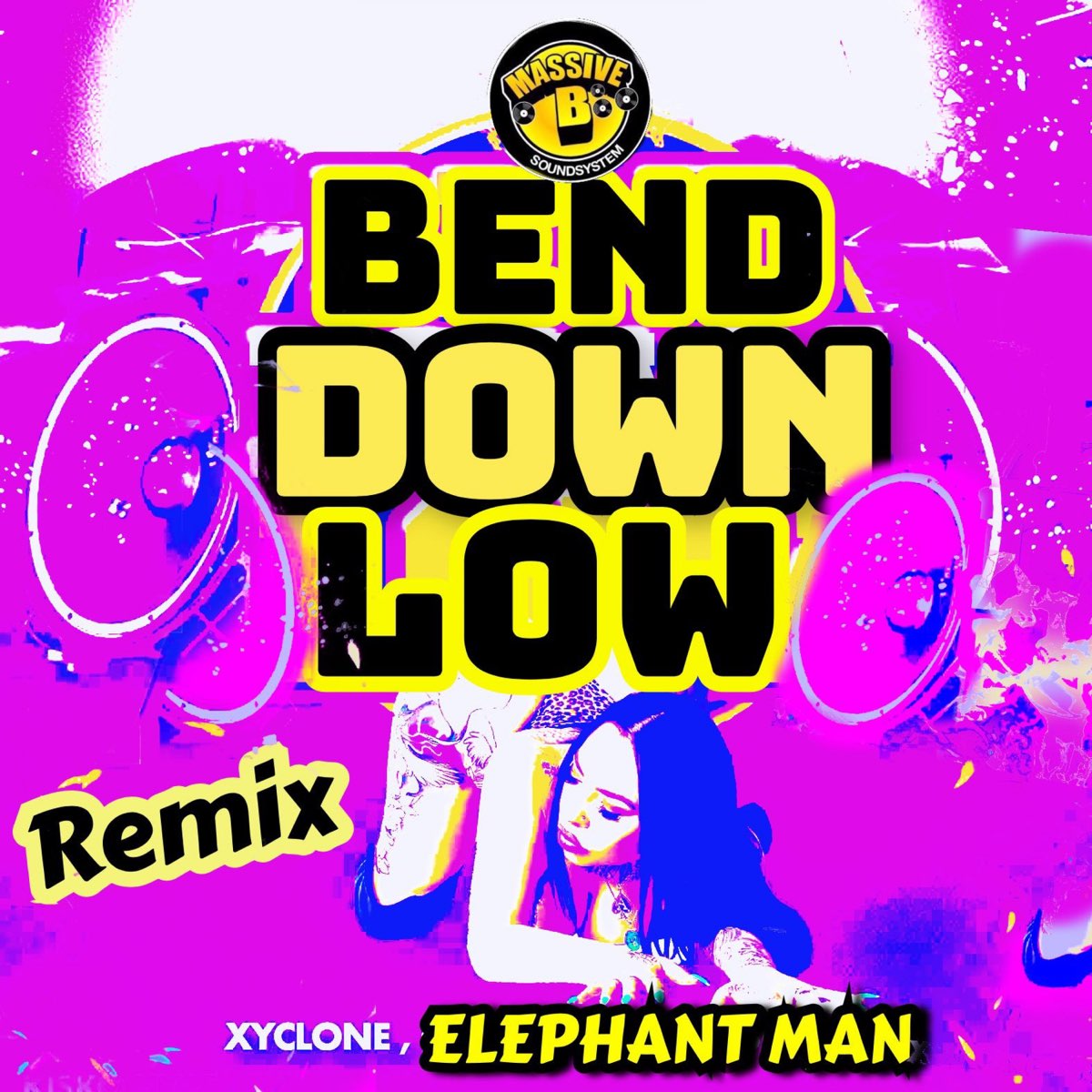 Get it down low remix