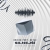 Silnejší (feat. Seymi) - Single