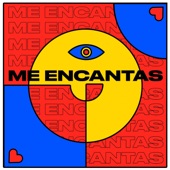 Me Encantas artwork