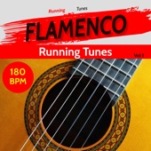 Flamenco Running Tunes Vol 1 artwork