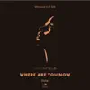 Stream & download Where Are You Now (MonoJack VIP Edit) - Single