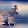 Kaunas Chamber Orchestra & Silvano Frontalini - Sinfonia in E Major, RV 132: III. Allegro