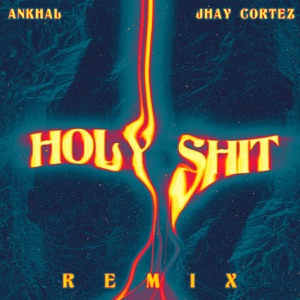Holy Shit (Remix) - Single
