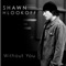 Without You - Shawn Hlookoff lyrics