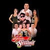 GRUPO AMOR SERRANO - Tomando mi cañasito