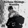 Fortuna Młodego Wertera