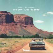 Stop Us Now artwork