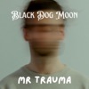 Mr Trauma - Single