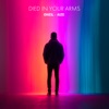Died in Your Arms - Single