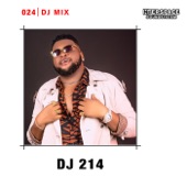 Last Last (DJ 214 Remix) [Mixed] artwork