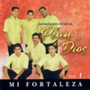 Plan de Dios - Plan de Dios