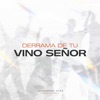 Derrama de Tu Vino Señor - Single
