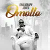 Omollo - Single album lyrics, reviews, download