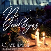 OjayeAmorMusic - No Goodbyes