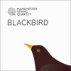 Blackbird - EP