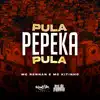 Stream & download Pula Pepeka Pula - Single