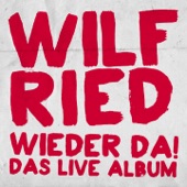Südwind (Live) artwork