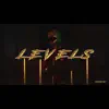 Levels - Single album lyrics, reviews, download