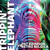 Trippin' Elephant (Extended Mix) [Pat Krimson vs. Retro Belgica] artwork