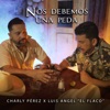 Nos Debemos Una Peda - Single