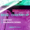 Cheetah - Single