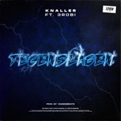 Tegenslagen (feat. 3Robi) artwork