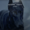 Frozen - Madonna & Sickick mp3